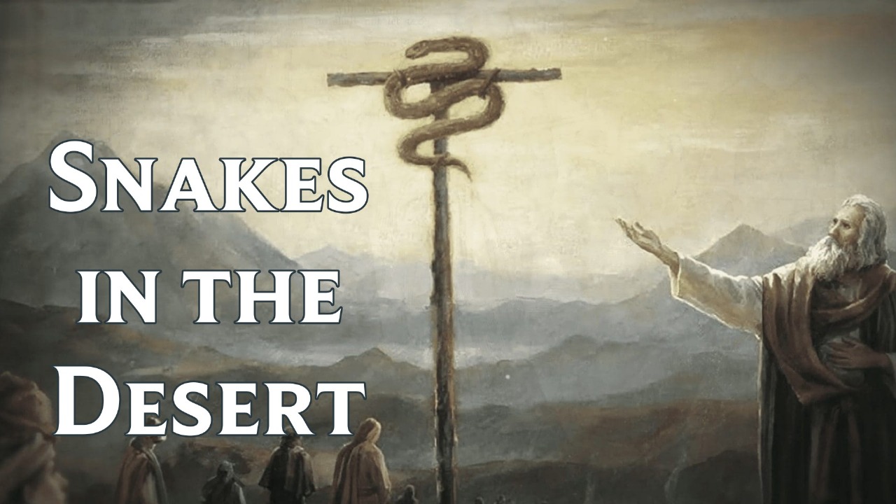 Snakes in the Desert