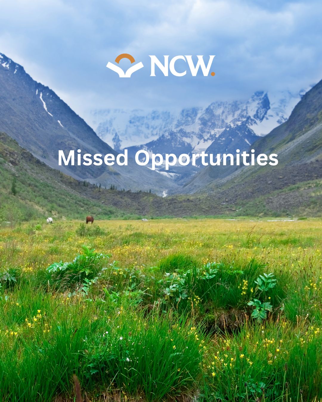 Missed Opportunities