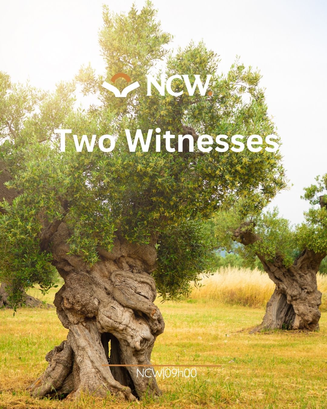 Two Witnesses
