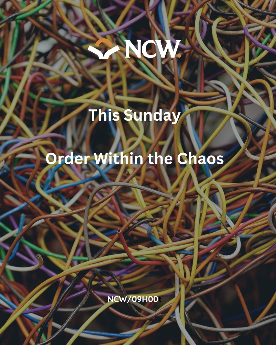 Order Within the Chaos
