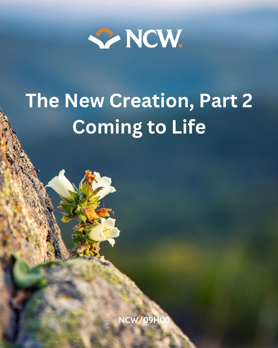 The New Creation, Part 2 – Coming to Life