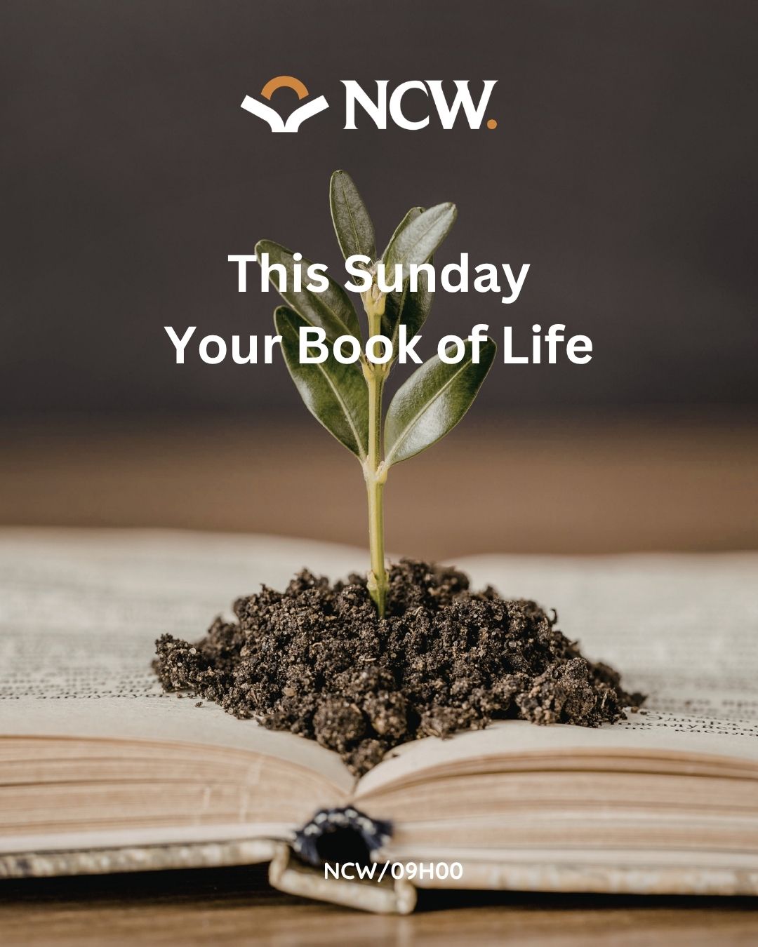 Your Book of Life